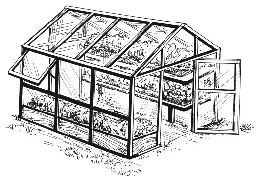 Теплица рисунок