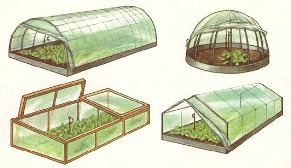 Теплица для черенкования