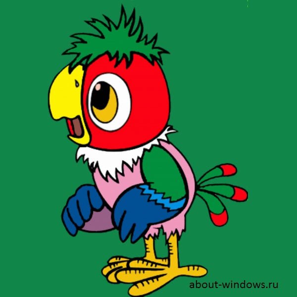 Иннокентий попугай Кеша