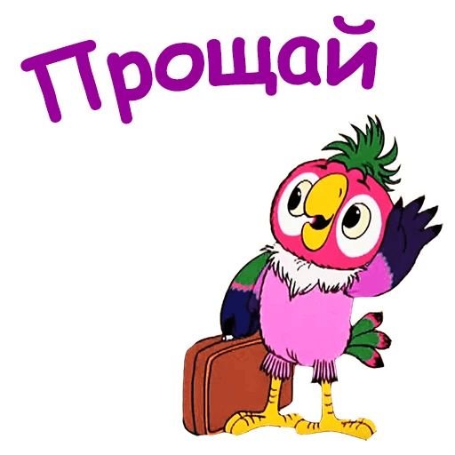 Попугай Кеша на белом фоне