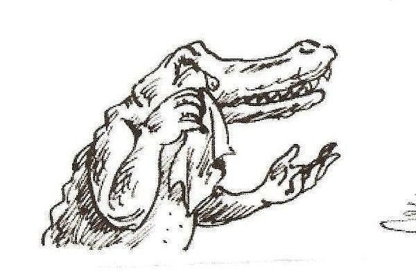 Фразеологизм лить Крокодиловы слезы