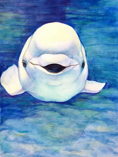 Белуха арт