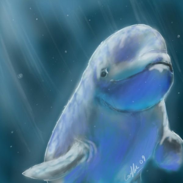 Белуха мультяшная