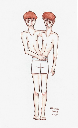 Референсы сиамские Близнецы