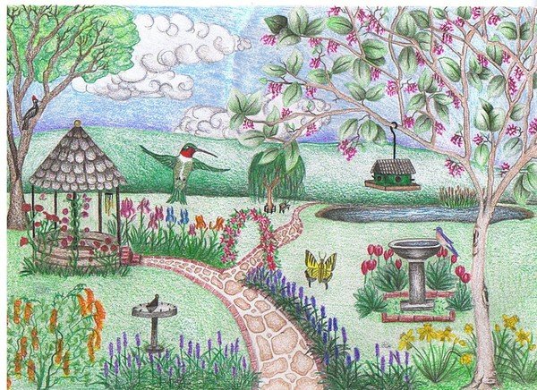 Сад рисунок