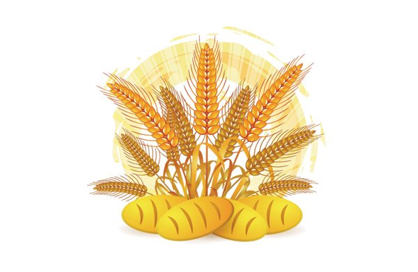 Колоски пшеницы с лентой