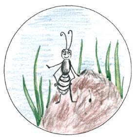 Муравей санитар иллюстрации