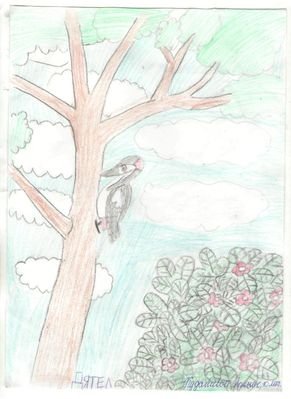 Рисунок на тему санитары леса