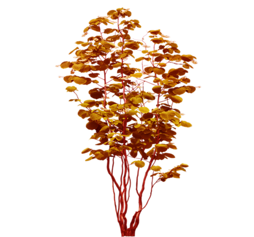 Осенние кусты на прозрачном фоне