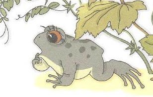 Заходер б.в. "серая Звездочка"