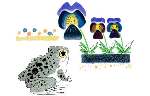 Заходер б.в. "серая Звездочка"