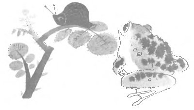 Рисунок серая звездочка (45 фото)