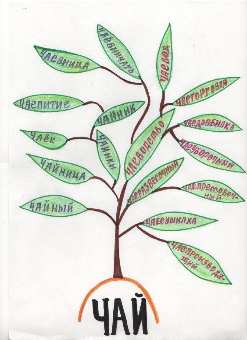 Семя слов дерево. Дерево с однокоренными словами. Проект дерево с однокоренными словами. Словообразовательное дерево. Дерево с однокоренными словами 3 класс.