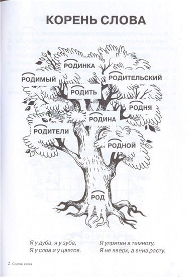 Однокоренные слова ВОА