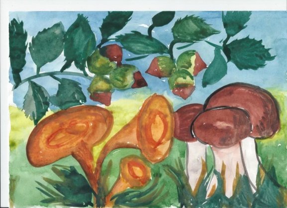 Рисование грибы ягоды подготовительная группа