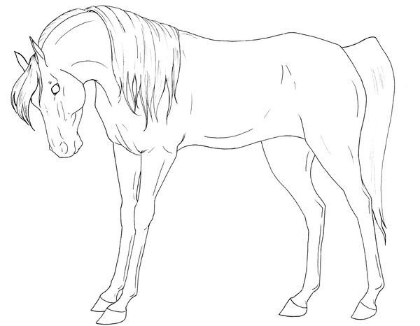 Рисунок слепая лошадь (48 фото)