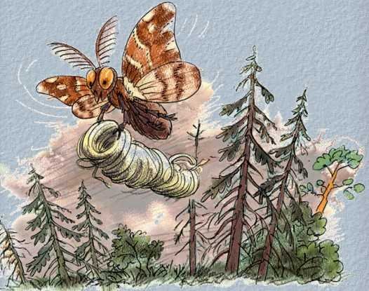 Рукодельница с иголкой