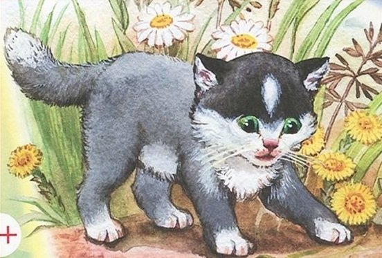 Лев Николаевич толстой котенок