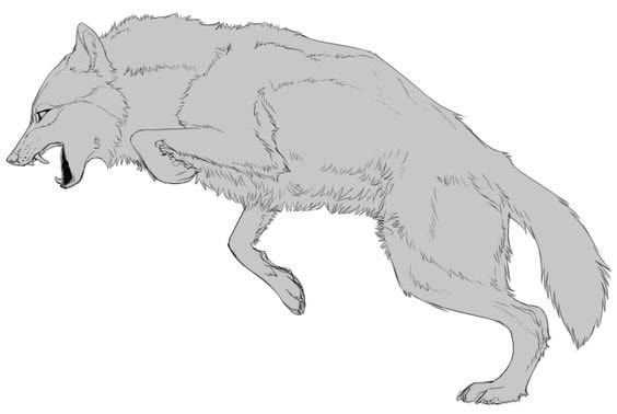 Волк бежит вид сбоку