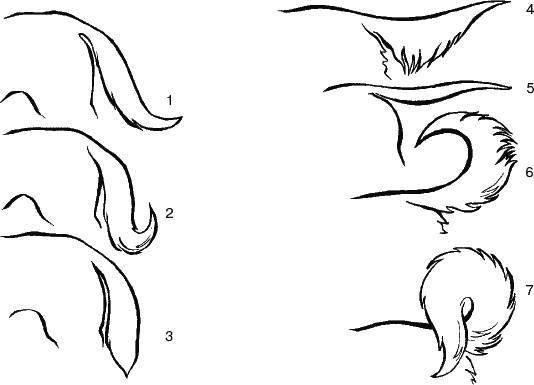 Хвосты зарисовки