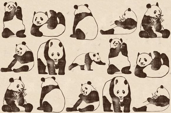 Референсы панд