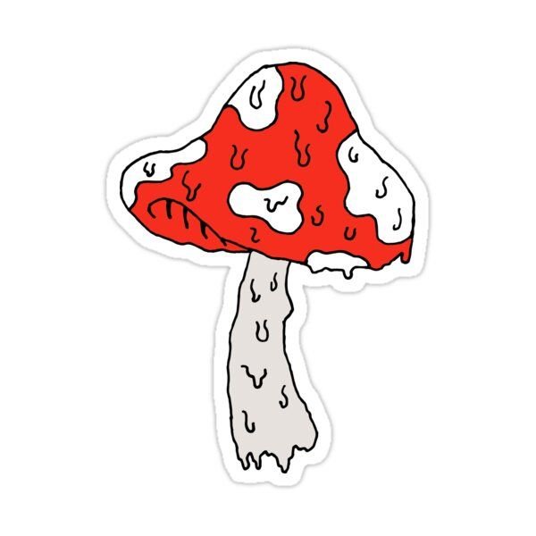 Инди КИД грибы