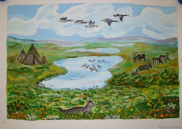 Тундра рисунок для детей