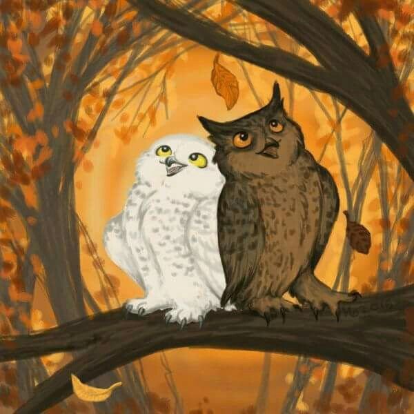 Влюбленные Совы арт