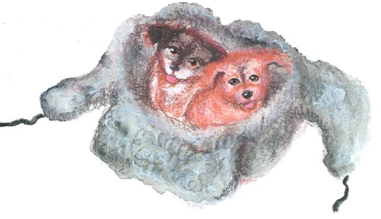 Малька провинилась