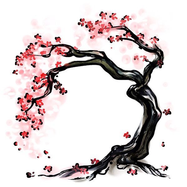 Сакура Япония эскиз