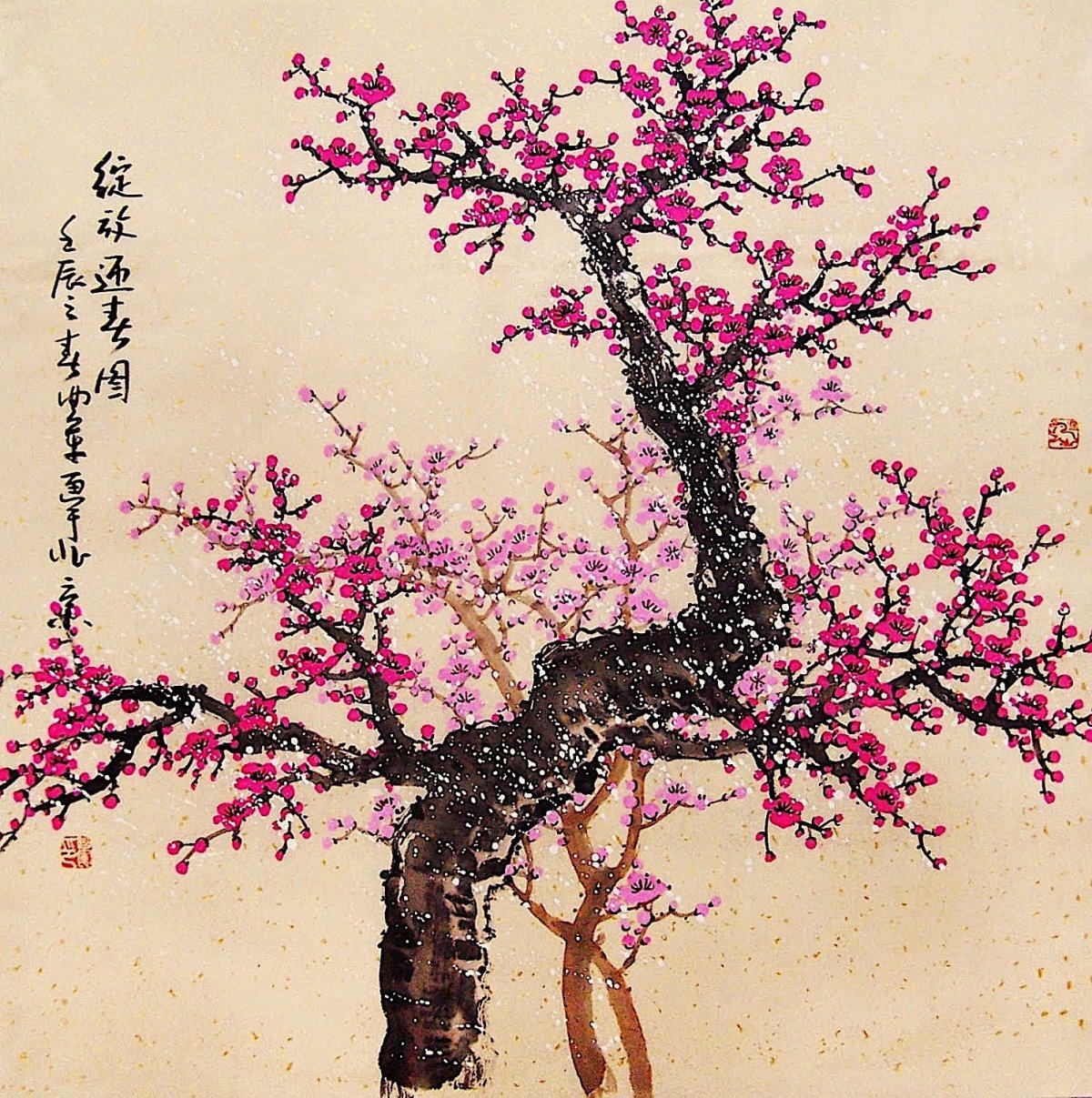 Китайское дерево Сакура