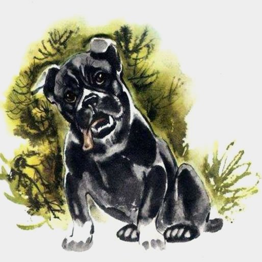 Иллюстрации Лев Николаевич толстой Булька