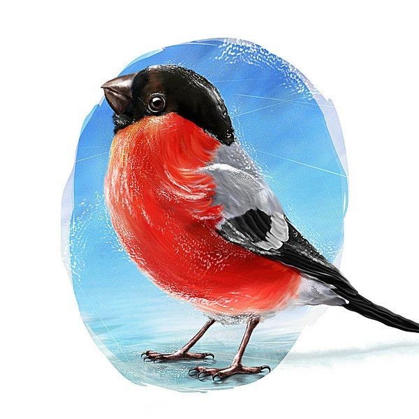 Снегири мультяшные