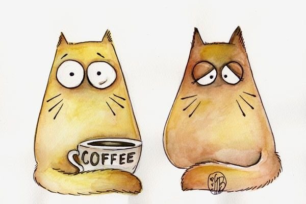 Maria van Bruggen смешные коты