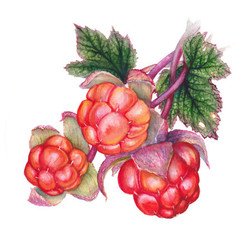 Вера Ермак художник