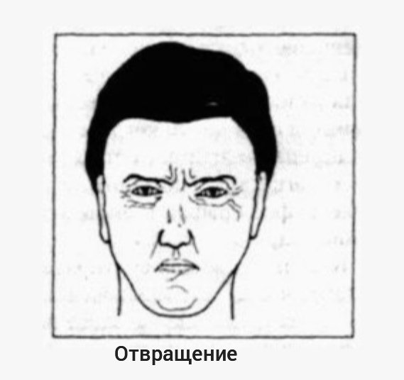 Эмоция отвращения презрения