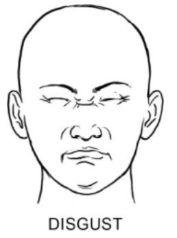 Лицо эмоция ненависть рисование.