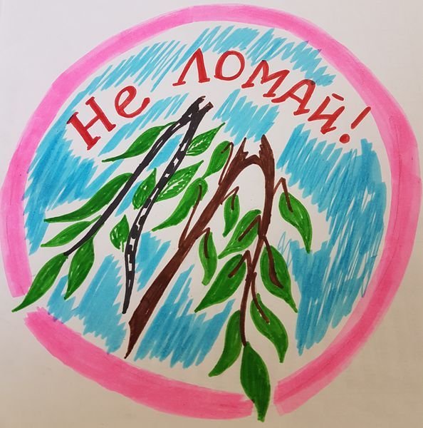 Берегите растения для детей