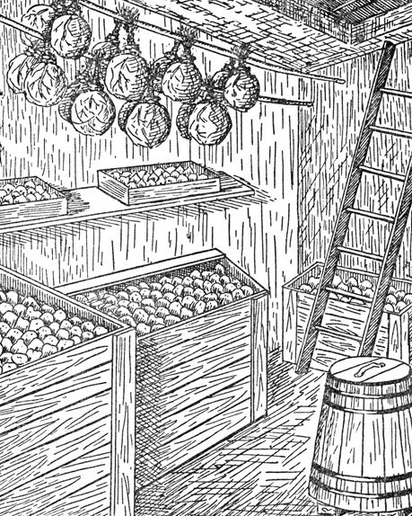 Раскраска подвал