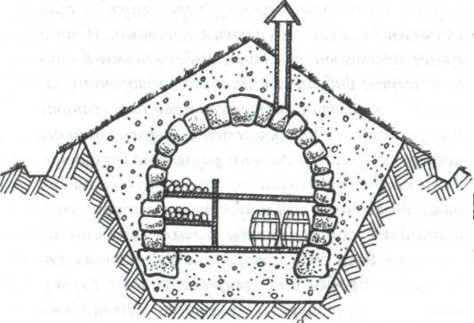 Погреб мультяшный