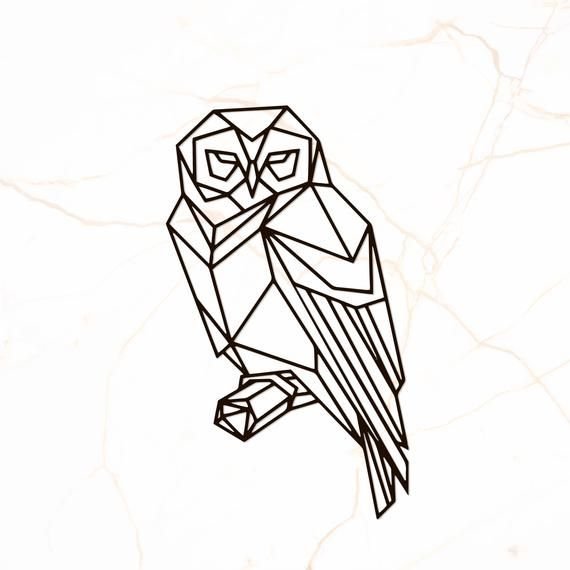 Сова в треугольнике