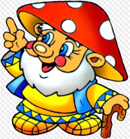 Боровик Лесовичок