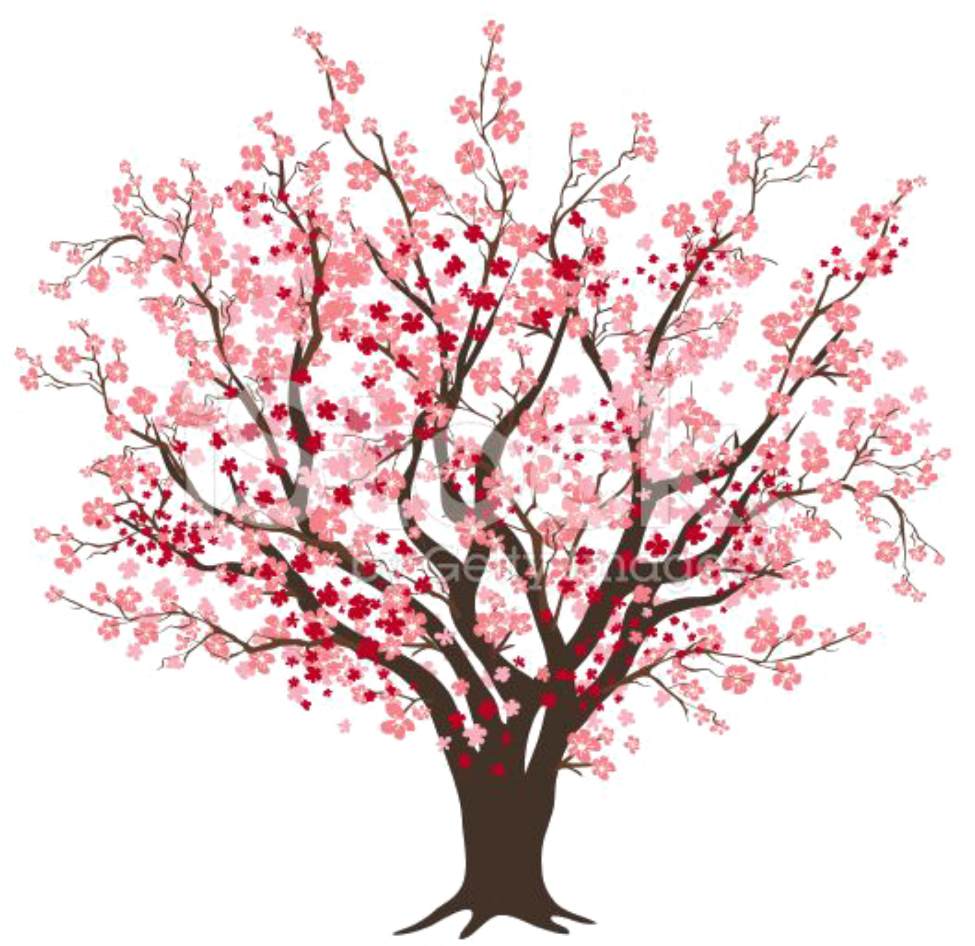 Цветущее дерево. Вишневое дерево. Сакура дерево. Нарисовать дерево. Розовое дерево без листьев