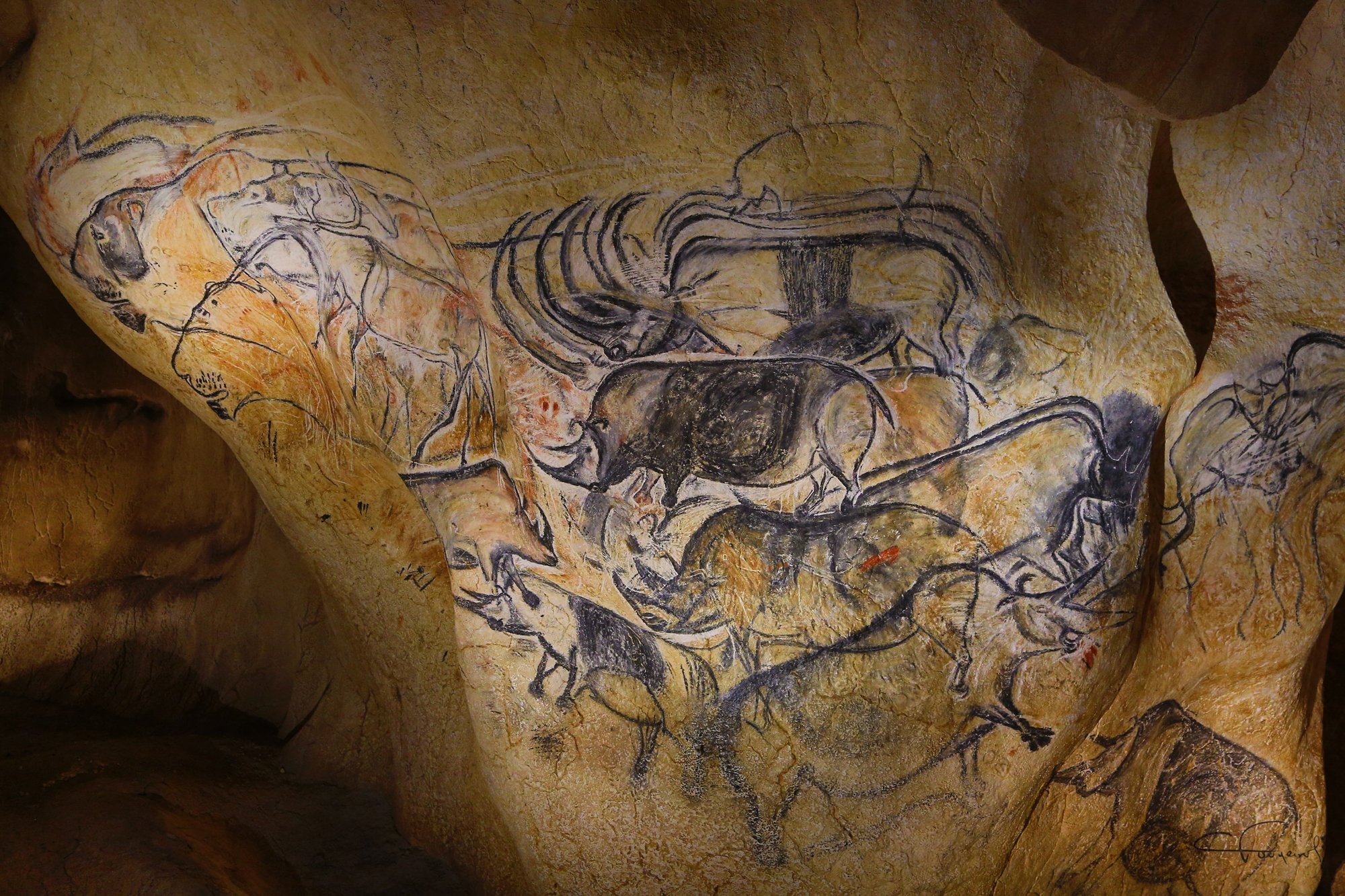 Пещера Шове Наскальная живопись