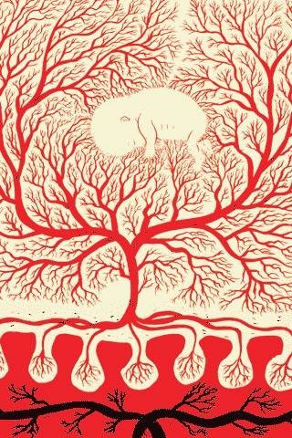 Маточно-плацентарное кровообращение