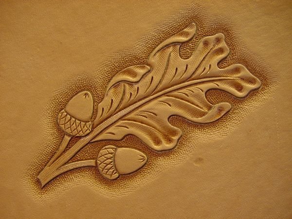 Тиснение на коже дубовые листья