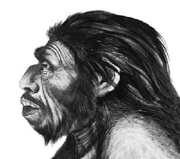 Кроманьонцы антропология