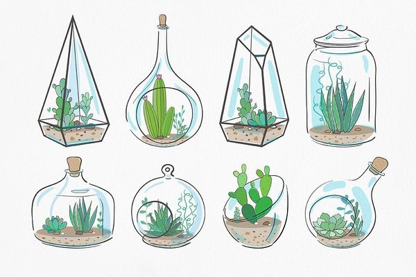 Эскиз флорариума