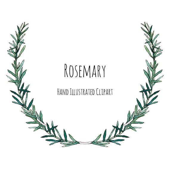 Розмарин вектор