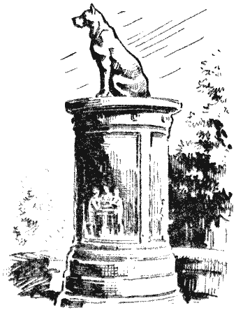 Памятник собаке найде в Комсомольске-на-Амуре